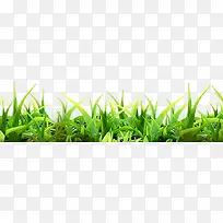 ����С�ݺ�����ͷ-������