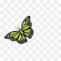 �������ĺ���-������