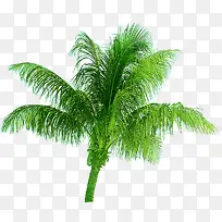 创意合成摄影度假区的椰子树-空若网 创意合成摄影度假区的椰子树-空若网