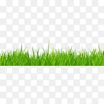 ²ÝµØÂÌÉ«±ß¿ò-¿ÕÈôÍø ²ÝµØÂÌÉ«±ß¿ò-¿ÕÈôÍø