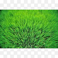 ïʢ���̲�-������