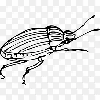 �ֻ�׿ǳ�-������