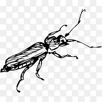 �ֻ����-������