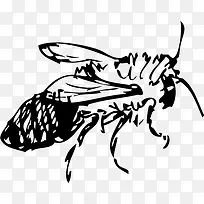 �ֻ����-������