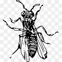 手绘虫子-空若网 手绘虫子-空若网