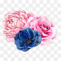 彩色的花朵-空若网 彩色的花朵-空若网