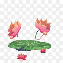手绘荷花-空若网 手绘荷花-空若网