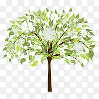 树 树木 木-空若网 树 树木 木-空若网