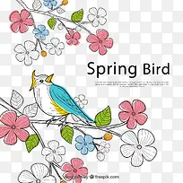 花鸟免抠素描-空若网 花鸟免抠素描-空若网