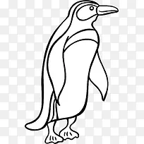 手绘 企鹅-空若网 手绘 企鹅-空若网