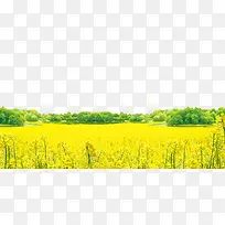 ��ɫ�Ͳ˻��廭����-������