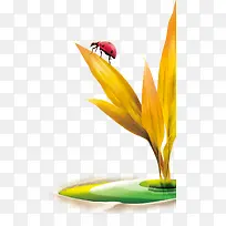 ��ɫС��-������