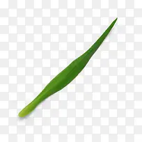 绿色草枝叶自然植物枝叶花瓣-空若网 绿色草枝叶自然植物枝叶花瓣-空若网
