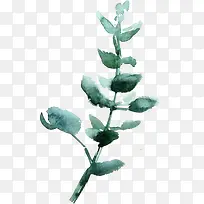 ˮ�ʸ��Ŵ���ɫ��Ҷ-������