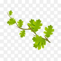 ����ɫ��ʸ����֦��Ҷ-������