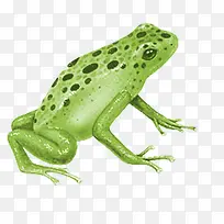 绿色圆点可爱青蛙-空若网 绿色圆点可爱青蛙-空若网