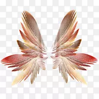 翅膀剪贴画-翅膀-空若网 翅膀剪贴画-翅膀-空若网