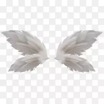 剪贴画翅膀-空若网 剪贴画翅膀-空若网