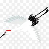 白色天鹅素材图片-空若网 白色天鹅素材图片-空若网