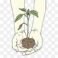 ������ֲ��������-������