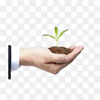 手捧绿植-空若网 手捧绿植-空若网
