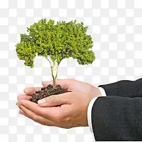 手捧绿树手捧绿植-空若网 手捧绿树手捧绿植-空若网