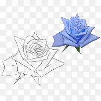 手绘玫瑰花-空若网 手绘玫瑰花-空若网