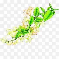 ��ɫ������ֲ���ֻ�-������