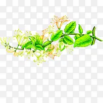 ��ɫ�ֻ滨�������-������