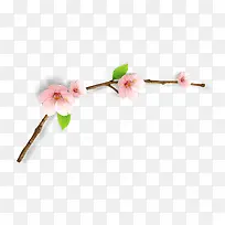 春天桃花树枝-空若网 春天桃花树枝-空若网