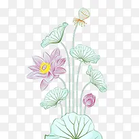 手绘粉色荷花儿png-空若网 手绘粉色荷花儿png-空若网