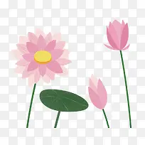 手绘卡通粉色荷叶荷花-空若网 手绘卡通粉色荷叶荷花-空若网