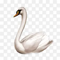 �����png-������