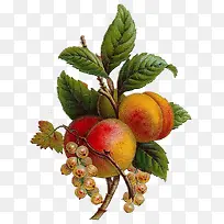 �ֻ�����-������