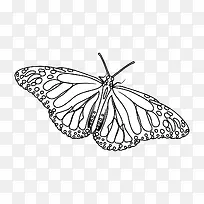 手绘蝴蝶-空若网 手绘蝴蝶-空若网