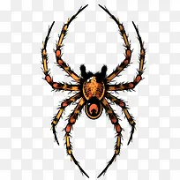 彩色简约蜘蛛昆虫图-空若网 彩色简约蜘蛛昆虫图-空若网