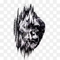 创意大猩猩插画-空若网 创意大猩猩插画-空若网