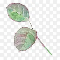 ˮī�ͻ�ˮ����֦��Ҷ-������