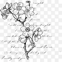 �ֻ滨-������