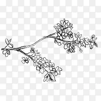 手绘花-空若网 手绘花-空若网