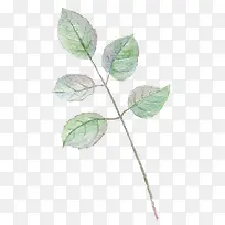 水墨油画树枝树叶-空若网 水墨油画树枝树叶-空若网