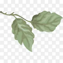 ����ϳ��ͻ�Ч����֦-������