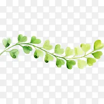 手绘绿色银杏叶子-空若网 手绘绿色银杏叶子-空若网