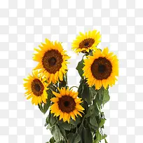 摄影 高清-空若网 摄影 高清-空若网