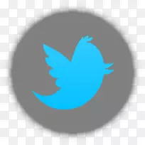 电脑图标-推特-空若网 电脑图标-推特-空若网