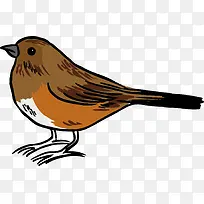 手绘麻雀PNG下载-空若网 手绘麻雀PNG下载-空若网