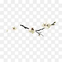 梅花-空若网 梅花-空若网