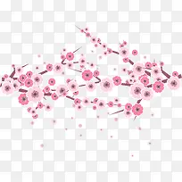 �ۺ�÷����֦-������