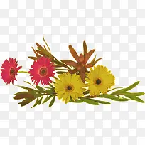 花草线描花草设计素材-空若网 花草线描花草设计素材-空若网