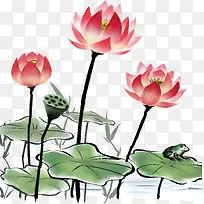 Ë®²Ê»Á«»¨Á«Ò¶-¿ÕÈôÍø Ë®²Ê»Á«»¨Á«Ò¶-¿ÕÈôÍø